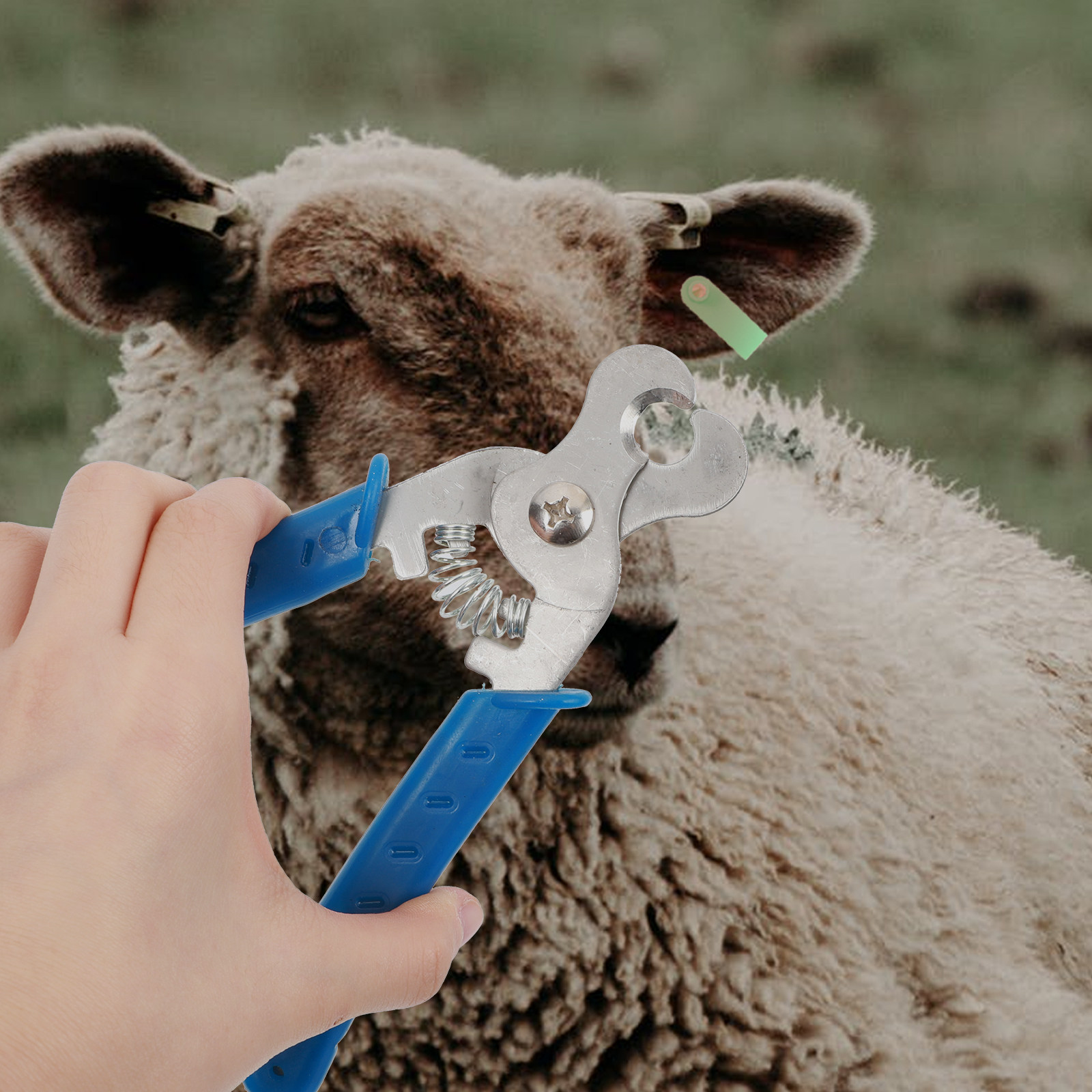 Livestock Ear Tag - 1 Adet Paslanmaz Çelikten Üretilmiş, Dayanıklı