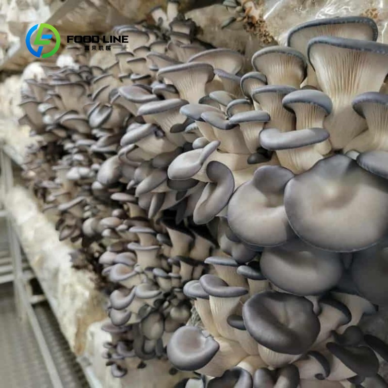Modüler Konteyner Çiftliği Kap - Urban Farming Agriculture incelemesi ve fiyatı