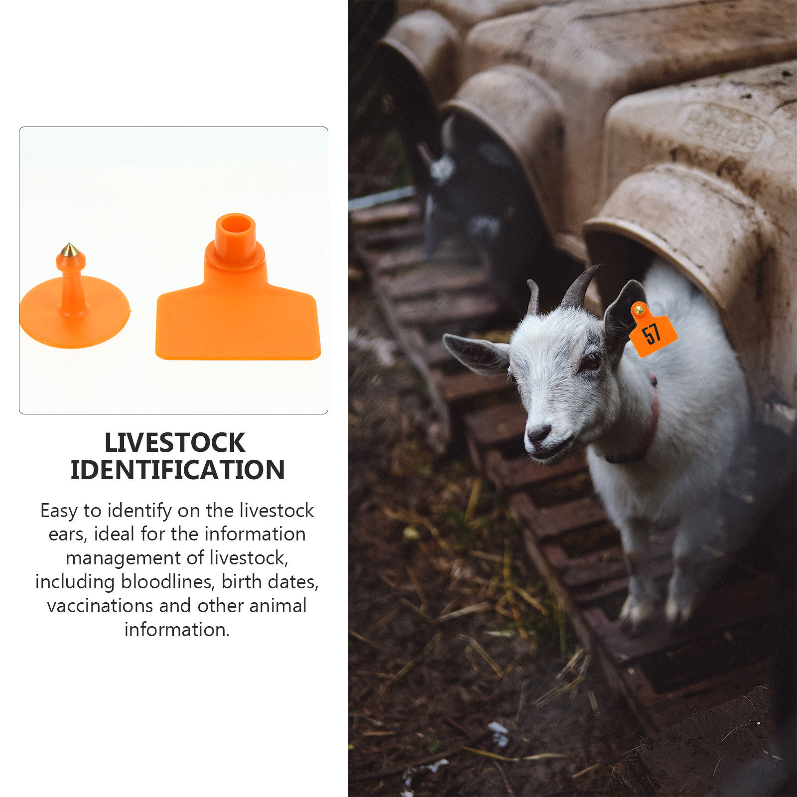 100 Adet Çevre Dostu Hayvan Ku - Livestock Ear Tag incelemesi ve fiyatı